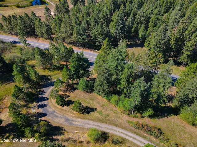 5758 E Burma Rd, Harrison, ID 83833 - bird's eye view