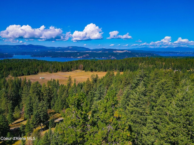 5758 E Burma Rd, Harrison, ID 83833 - view of mountain feature featuring a wooded view and a water view