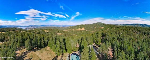 5758 E Burma Rd, Harrison, ID 83833 - mountain view featuring a view of trees