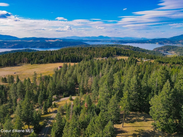 5758 E Burma Rd, Harrison, ID 83833 - view of mountain feature with a water view and a forest view