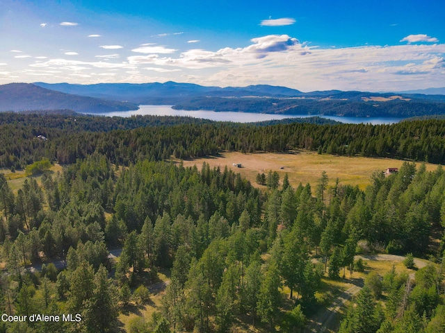 5758 E Burma Rd, Harrison, ID 83833 - view of mountain feature with a view of trees and a water view
