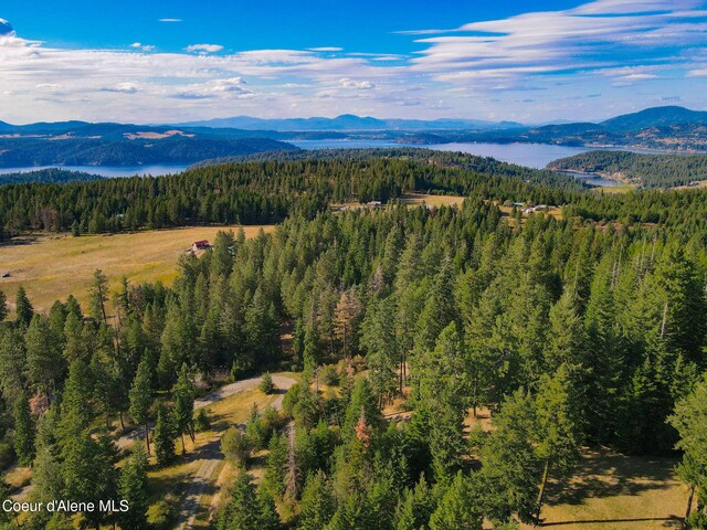 5758 E Burma Rd, Harrison, ID 83833 - view of mountain feature featuring a water view and a view of trees