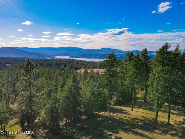 5758 E Burma Rd, Harrison, ID 83833 - property view of mountains with a forest view