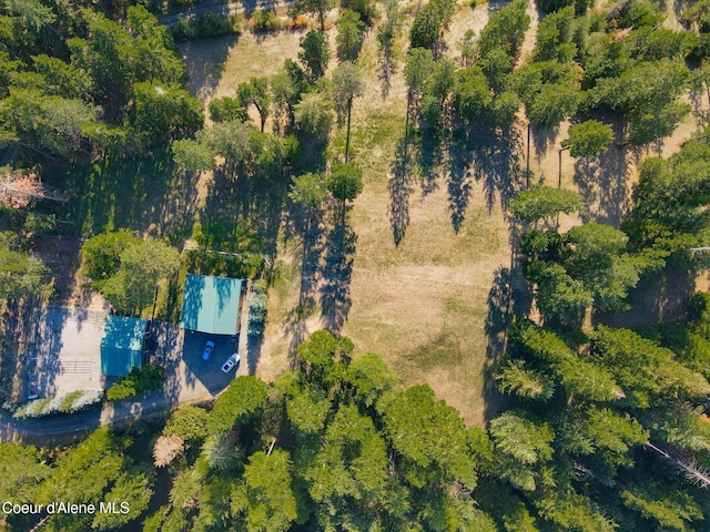 5758 E Burma Rd, Harrison, ID 83833 - drone / aerial view