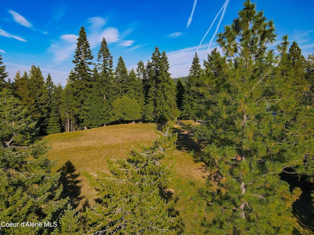 5758 E Burma Rd, Harrison, ID 83833 - view of landscape featuring a view of trees