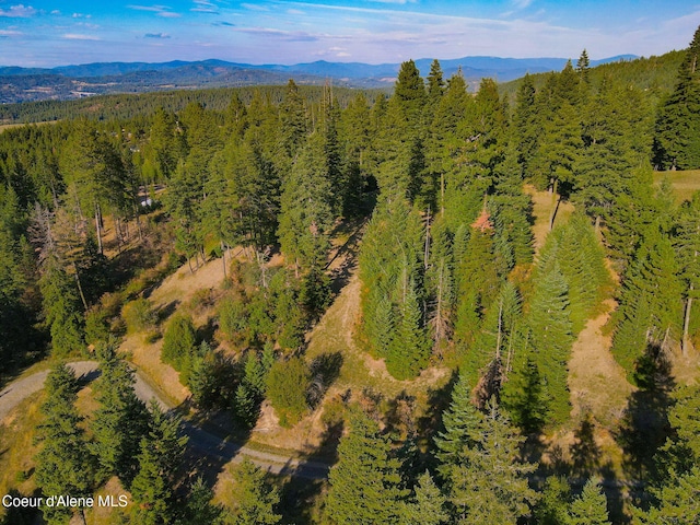 5758 E Burma Rd, Harrison, ID 83833 - aerial view with a wooded view and a mountain view
