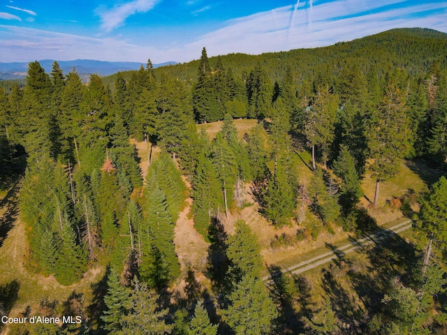 5758 E Burma Rd, Harrison, ID 83833 - bird's eye view featuring a view of trees and a mountain view