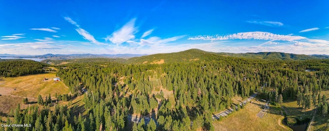 5758 E Burma Rd, Harrison, ID 83833 - mountain view featuring a forest view