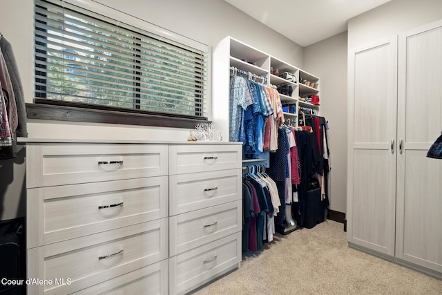 7431 E Cumberland Ct, Hayden, ID 83835 - walk in closet with light carpet