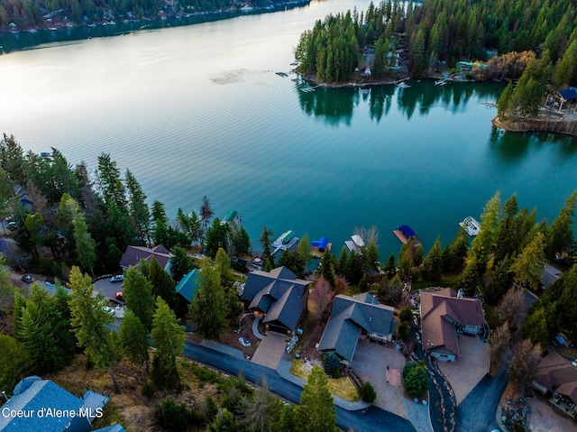 7431 E Cumberland Ct, Hayden, ID 83835 - bird's eye view with a water view, a forest view, and a residential view