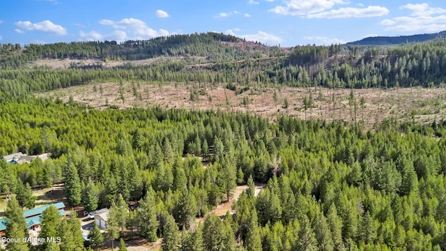 181 E Deer Meadow Ln, Blanchard, ID 83804 - view of mountain feature with a forest view