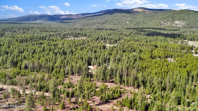 181 E Deer Meadow Ln, Blanchard, ID 83804 - view of mountain feature with a wooded view