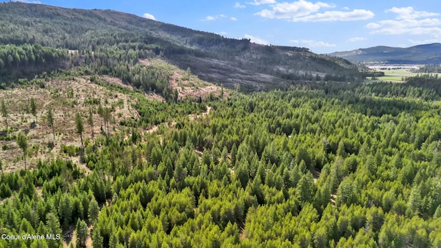 181 E Deer Meadow Ln, Blanchard, ID 83804 - mountain view featuring a view of trees