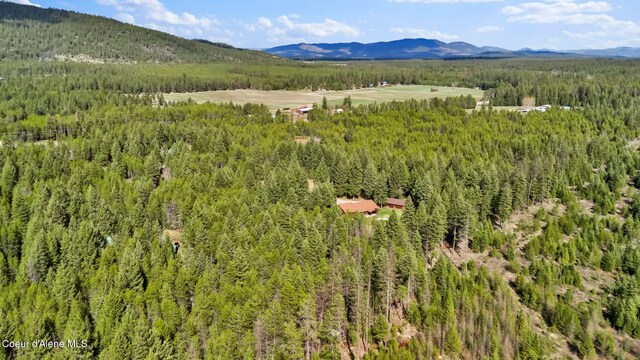 181 E Deer Meadow Ln, Blanchard, ID 83804 - mountain view with a wooded view