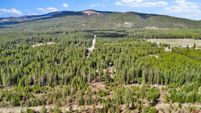 181 E Deer Meadow Ln, Blanchard, ID 83804 - property view of mountains with a wooded view