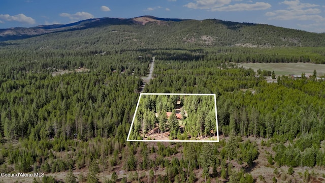 181 E Deer Meadow Ln, Blanchard, ID 83804 - view of mountain feature featuring a wooded view