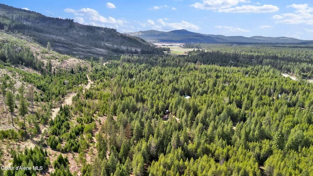 181 E Deer Meadow Ln, Blanchard, ID 83804 - mountain view featuring a wooded view
