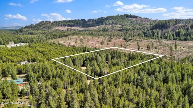 181 E Deer Meadow Ln, Blanchard, ID 83804 - bird's eye view with a wooded view and a mountain view