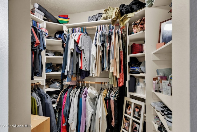 181 E Deer Meadow Ln, Blanchard, ID 83804 - view of walk in closet