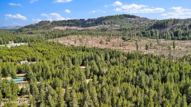 181 E Deer Meadow Ln, Blanchard, ID 83804 - property view of mountains with a view of trees
