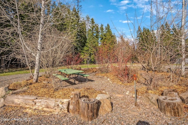 164 Generations Dr, Athol, ID 83801 - view of yard
