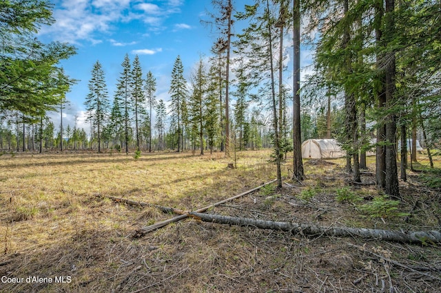 164 Generations Dr, Athol, ID 83801 - view of yard