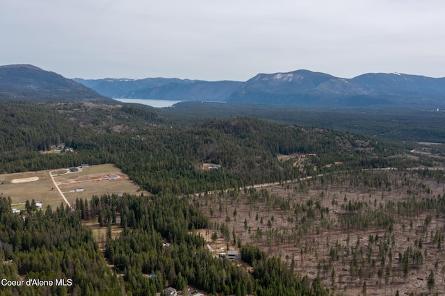 164 Generations Dr, Athol, ID 83801 - view of mountain feature featuring a forest view