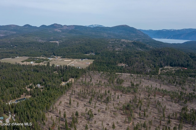 164 Generations Dr, Athol, ID 83801 - property view of mountains featuring a forest view