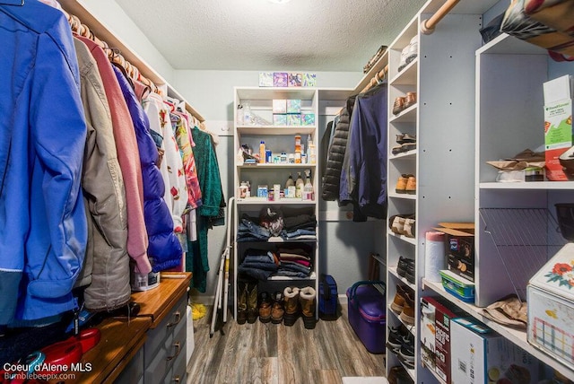 spacious closet featuring wood finished floors