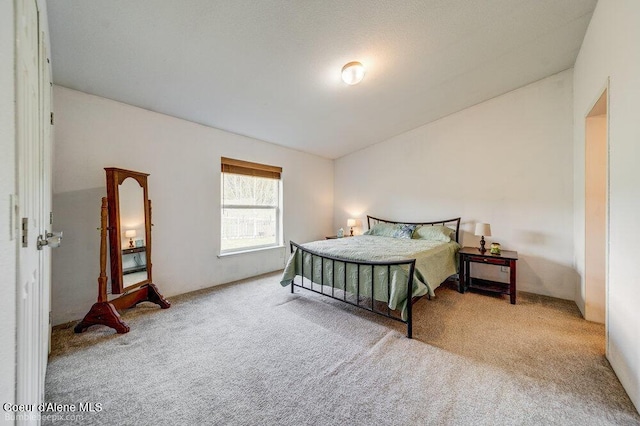 bedroom with carpet flooring