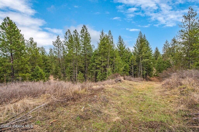 view of nature with a forest view