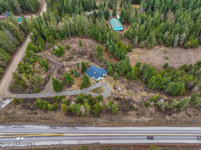 bird's eye view