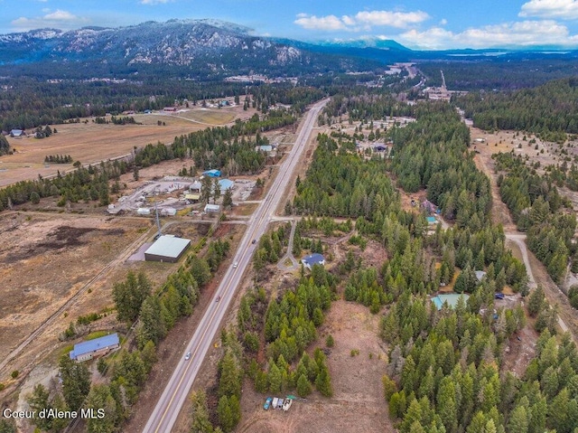 birds eye view of property featuring a mountain view