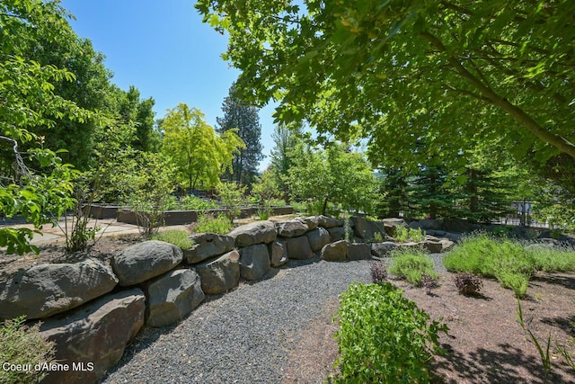 4860 N Cuprum Ct, Coeur Dalene, ID 83815 - view of yard