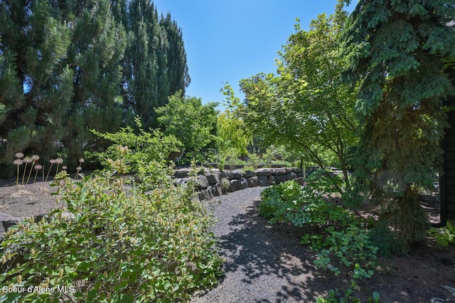 4860 N Cuprum Ct, Coeur Dalene, ID 83815 - view of yard
