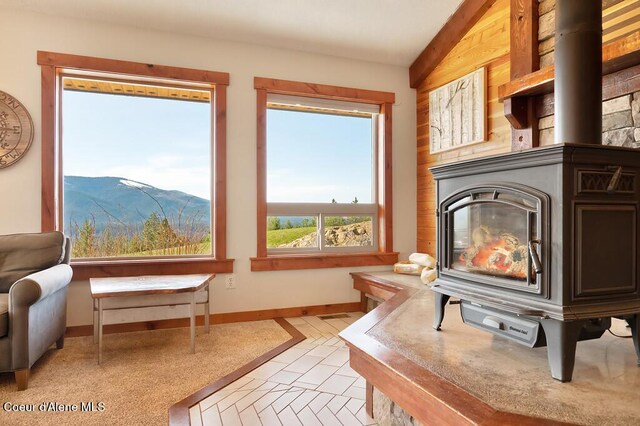 495 N Ridgeview Ln, Priest River, ID 83856 - photo 15