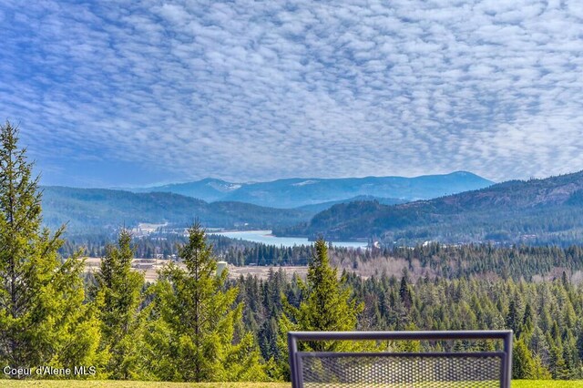 495 N Ridgeview Ln, Priest River, ID 83856 - photo 50