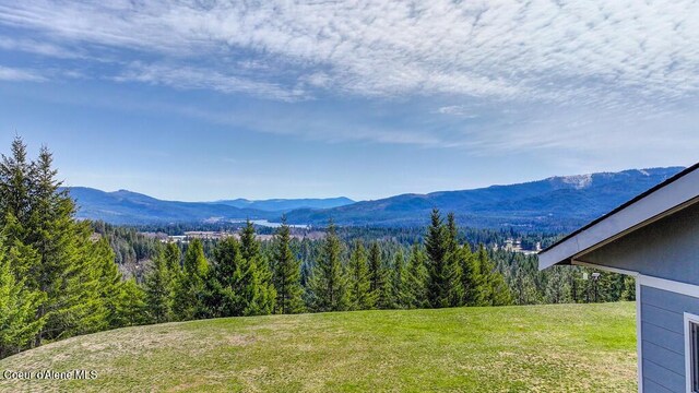 495 N Ridgeview Ln, Priest River, ID 83856 - photo 57