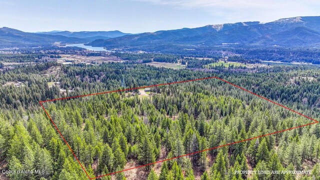 495 N Ridgeview Ln, Priest River, ID 83856 - photo 55