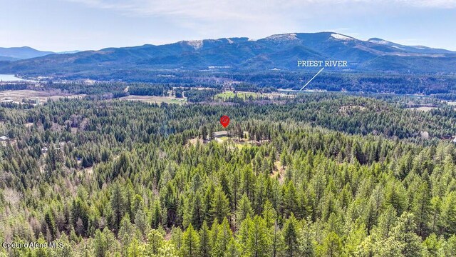 495 N Ridgeview Ln, Priest River, ID 83856 - photo 56