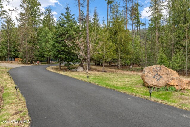 137 Bitterroot Pass, Sagle, ID 83860 - view of road