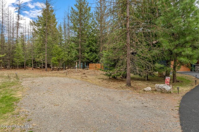 137 Bitterroot Pass, Sagle, ID 83860 - view of street
