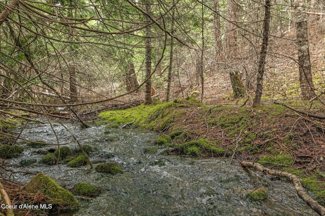 137 Bitterroot Pass, Sagle, ID 83860 - view of landscape with a wooded view