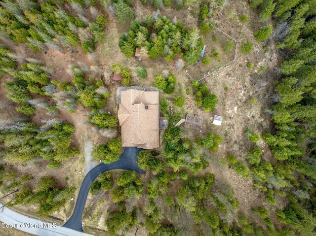 137 Bitterroot Pass, Sagle, ID 83860 - bird's eye view