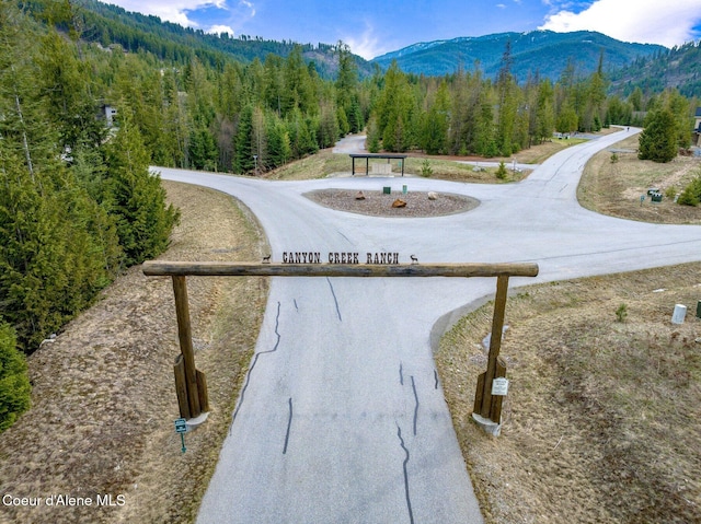 137 Bitterroot Pass, Sagle, ID 83860 - view of community with a view of trees and a mountain view