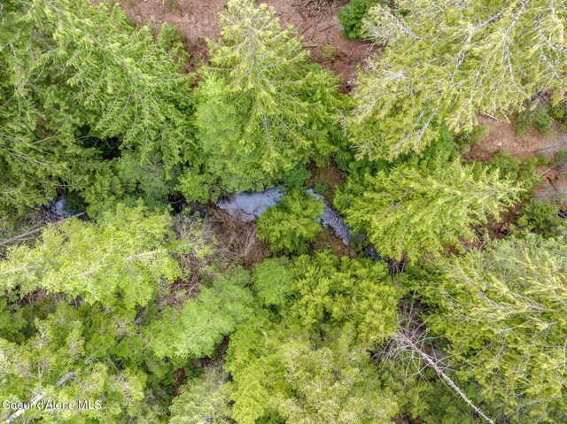 137 Bitterroot Pass, Sagle, ID 83860 - birds eye view of property