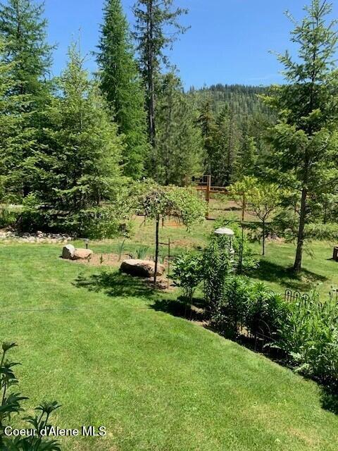 137 Bitterroot Pass, Sagle, ID 83860 - view of yard with a forest view