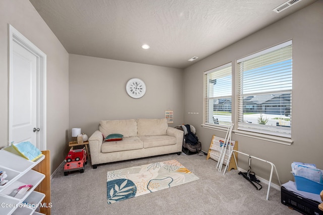 4209 May Ella Lp, Post Falls, ID 83854 - living area with baseboards, a textured ceiling, visible vents, and carpet