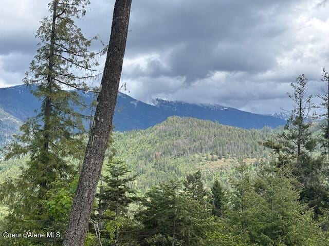 18 Majestic Mountain Rd, Clark Fork, ID 83811