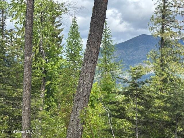 18 Majestic Mountain Rd, Clark Fork, ID 83811